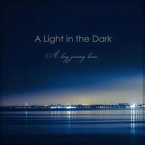 A Light In The Dark : A Long Journey Home